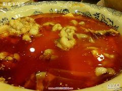 泡椒牛蛙-金色艳阳天•粤菜 淮扬菜(古平岗店)