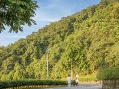 -火炉山森林公园