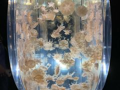 -大阪海游馆