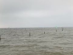 -海滨浴场