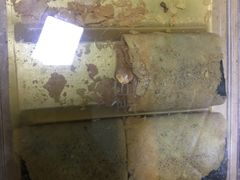 -钜记手信(威尼斯人K12店)