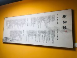 -静园瑜伽