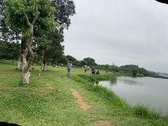 -松山湖南湖湾露营营地