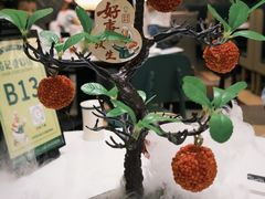 -椿记烧鹅(叠彩店)