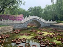-抱犊寨风景区