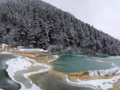-黄龙山原始森林景区