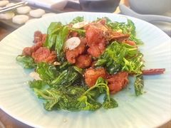 -花菇朵·云山雀 ll 野生菌锅·野果酸汤·精品滇菜(万柳店)