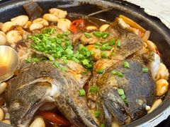 功夫青斑鱼-国惠大酒楼(宝龙店)