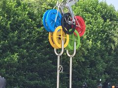 -南京奥林匹克体育中心-体育馆