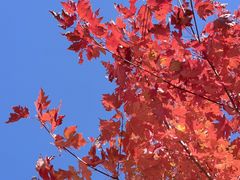 -北京西山国家森林公园