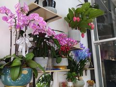 -FEI FEI FLOWER鲜花店·气球派对·宝宝宴布置(虹口德必运动Loft店)