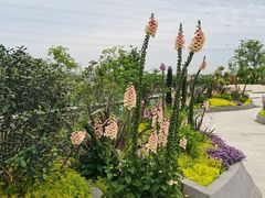 -茅草房·河畔园林火锅