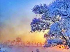 -北极村旅游风景区