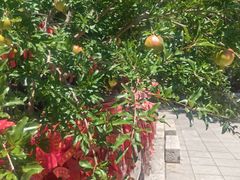 -四门塔风景区