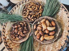 -昆虫窝子·特色云南菜(拓东路总店)
