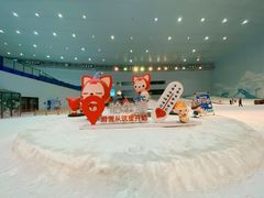 -哈尔滨热雪奇迹