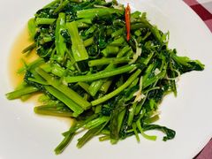 清炒鸡毛菜-邓丽君音乐主题餐厅