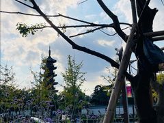 -龙华素斋(龙华路店)