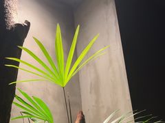 -森SPA·泰式按摩·精油Massage(宝安中心店)