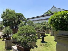 -苏州园林博物馆