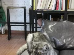 -元氏钵仔糕(北京路店)