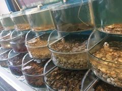 -同道蒸汽海鲜烧烤自助(刘庄夜市店)