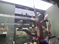 -国家自然博物馆