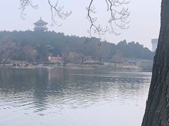 -泰山风景名胜区-虎山公园