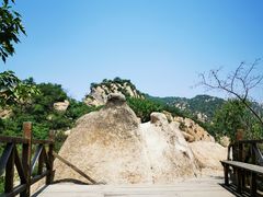 -大岭沟猕猴桃谷风景区