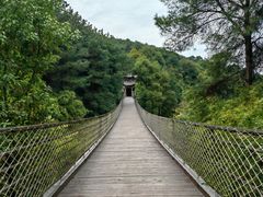 -铁山坪森林公园