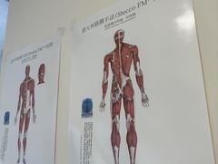 -复动肌骨门诊·MEDMOTION(北外滩店)