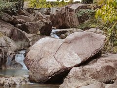 -广州白江湖森林公园