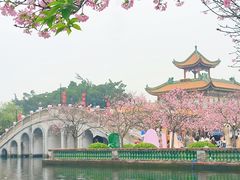-宝墨园景区