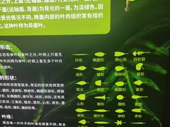 -河南自然博物馆
