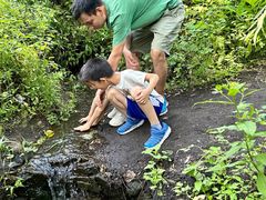 -峡谷浮石林景区