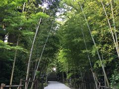 -来宫神社