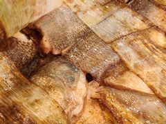 竹网鲈鱼-翠亭酒家(山西南路店)