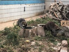 -石家庄市动物园