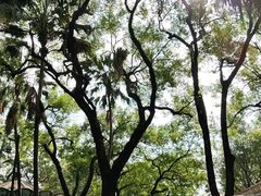-柳侯公园