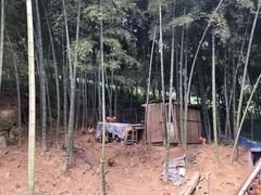 -竹园小居(石塘竹海店)
