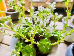 -国生茶庄·地道农家菜团建活动