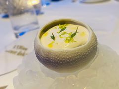 -迪拜帆船酒店海底餐厅