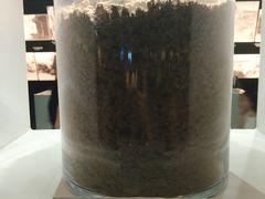 -侵华日军南京大屠杀遇难同胞纪念馆