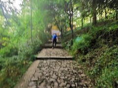 -雨花胜境