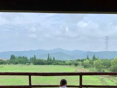 -长田漾湿地公园