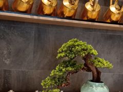 -茅庐毛血旺(临沂泰盛广场店)