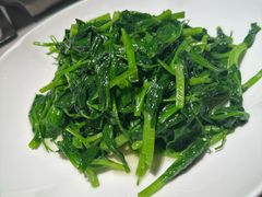 清炒豌豆尖-悦融琥珀·京鲁菜·海味珍品(西单店)
