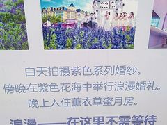-百万葵园