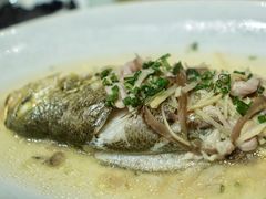 -老洋房花园饭店(绍兴路店)