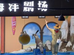 -重庆欢乐海底世界
